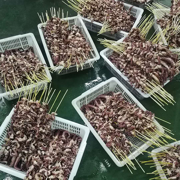 章魚(yú)