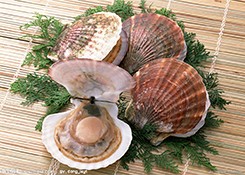 全國海洋伏季休漁暨渤海綜合治理專項執法行動啟動