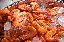 中國雞肉總產量占據世界第二位